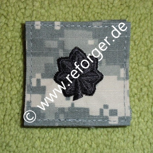 LTC Lieutenant Colonel ACU Rank