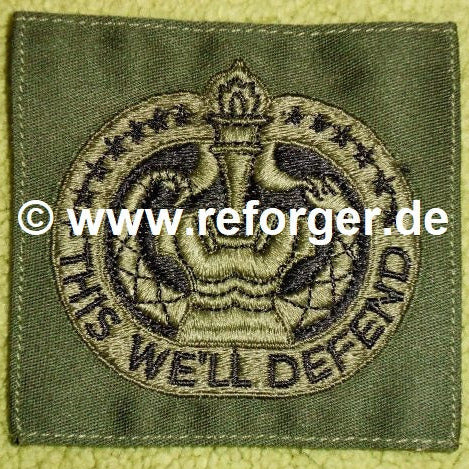 Army Drill Sergeant Identification Badge "This we'll Defend"