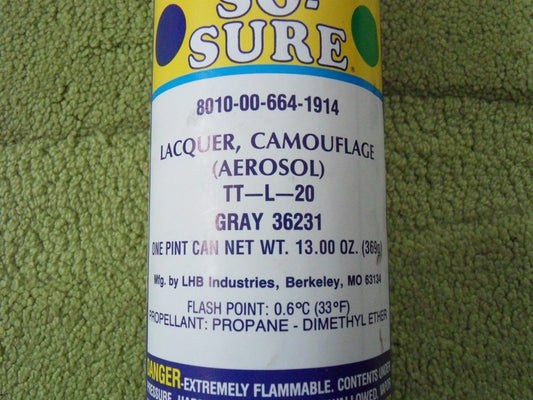 Army FS 36231 Sprühfarbe Grau