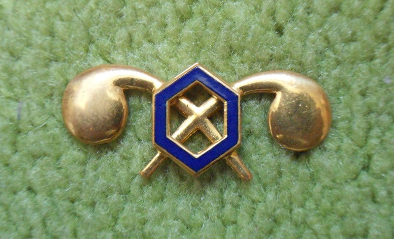 Chemical Corps – Branch Abzeichen