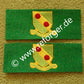 Leadership Tabs, 793rd MP