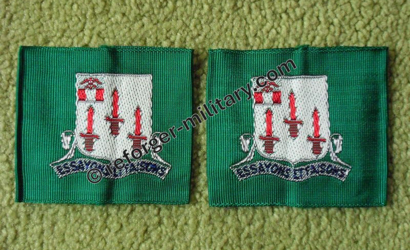 Leader Tabs Schlaufen 54th Engineer Bn.