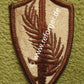 US Army Central Command Centcom Patch