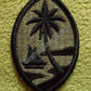 Guam National Guard Subdued BDU Patch