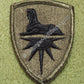 US Army Intelligence Command Patch