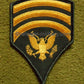 US Army Specialist 7 SPC-7 E-7 Rank Patch Rangabzeichen Dress Green Uniform