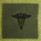 Army Dental Corps Officer Kragenspiegel