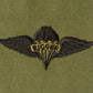 Rigger Abzeichen